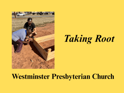 Westminster Presbyterian Plants ‘New&nbsp;Roots’