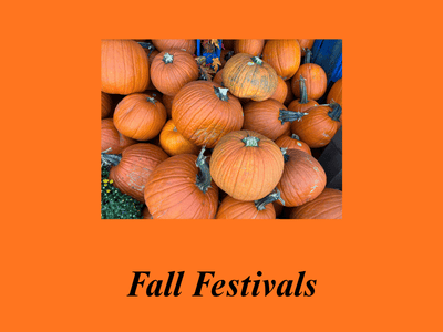 Catholic Parishes Fall&nbsp;Festivals